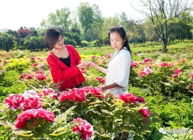 许昌：鄢陵这俩美女在花博园火了！谁认识？