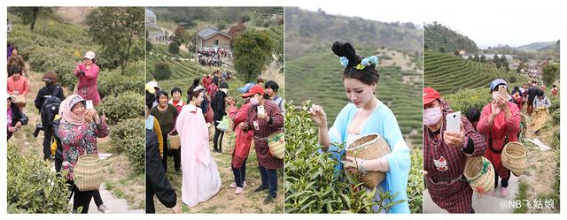 天目湖.白茶季：茶圣陆羽秀撩妹技能！围观童颜肤白貌美仙女团