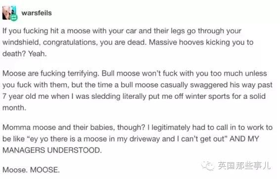 让加拿大人胆寒的巨兽Moose...你们感受下这股气场...