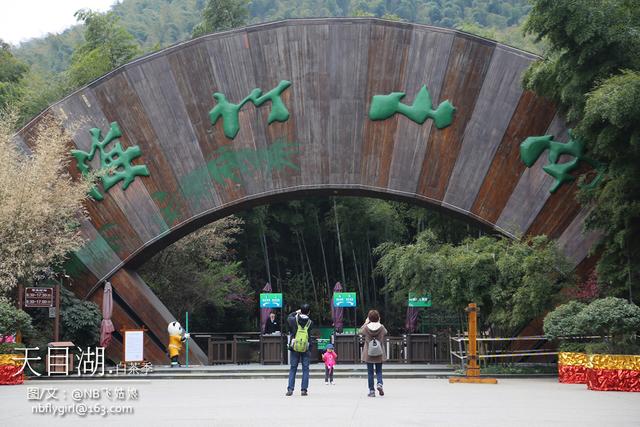 天目湖.白茶季：茶圣陆羽秀撩妹技能！围观童颜肤白貌美仙女团