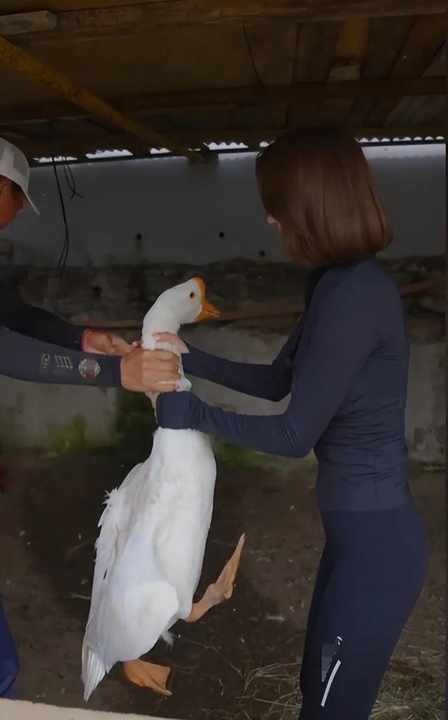 穿比基尼服务钓鱼人，黑丝美女卖渔具，这群中年男人“晚节不保”