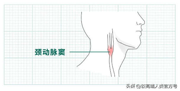 这些危险的性行为，一定不能尝试