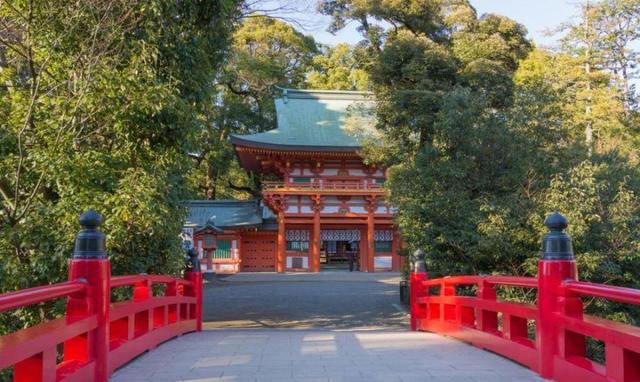 作妖女主播：家住神社，门外狐狸洞，号召“吃日本鱼打败中国”