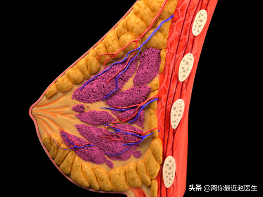 苦恼：哺乳后乳房变瘪、下垂。医生告诉你这三个雷区