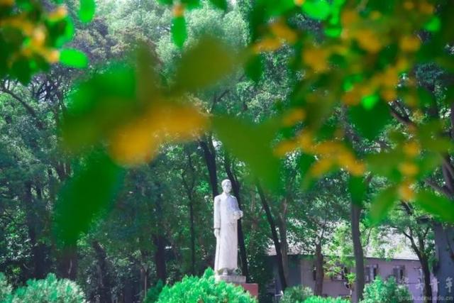 高清大图来袭！她，年年夺魁华中师范大学“最美校花”，惊艳众人！