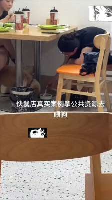 美女餐厅宠物(醉了  杭州饭店内宠物狗竟上餐桌 , 女子公勺喂狗被怒斥 , 网友炸锅了 )