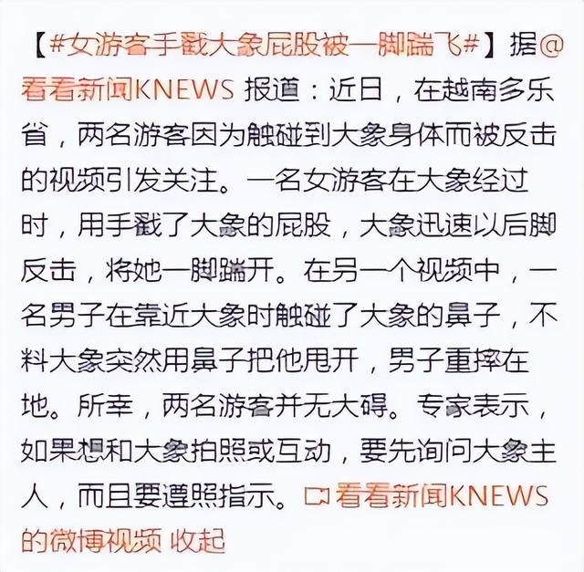 乐极生悲! 越南女游客手戳大象屁股被一脚踹飞.