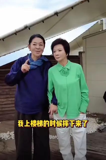 65岁倪萍逞能上台阶，摔下导致腿骨折，和蔡明现身内蒙分享平衡术