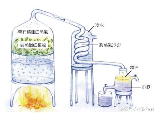 为什么在欧美都用便宜大碗的纯露保湿，而你却用爽肤水？